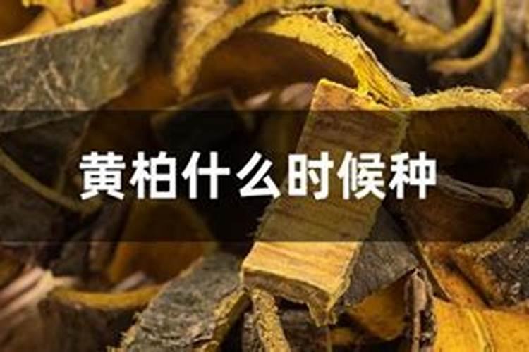 黄腐酸钾有保质期吗？