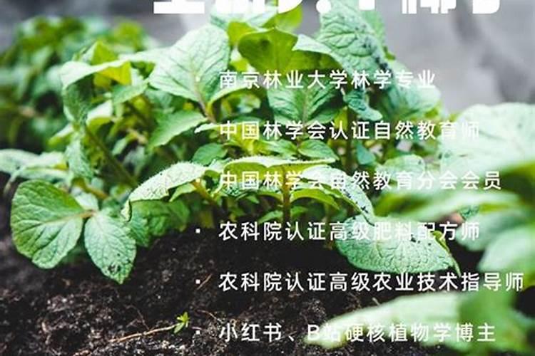 饼肥水发酵多久可以用