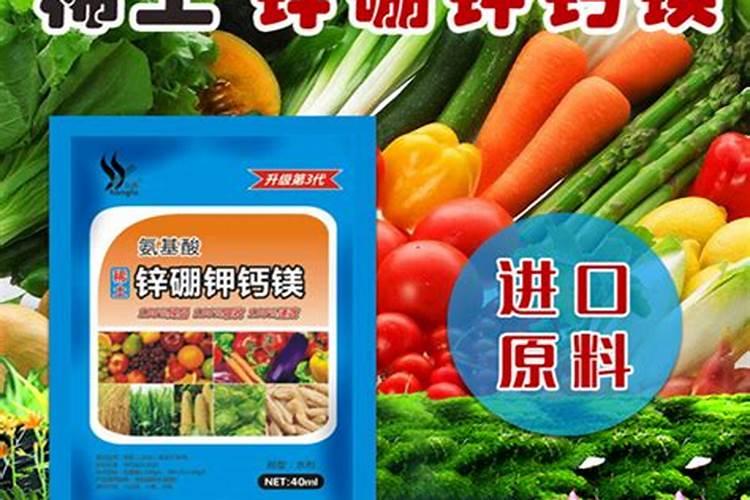 有哪些蔬菜不适合用尿素来追肥呢？说明一下道理所在