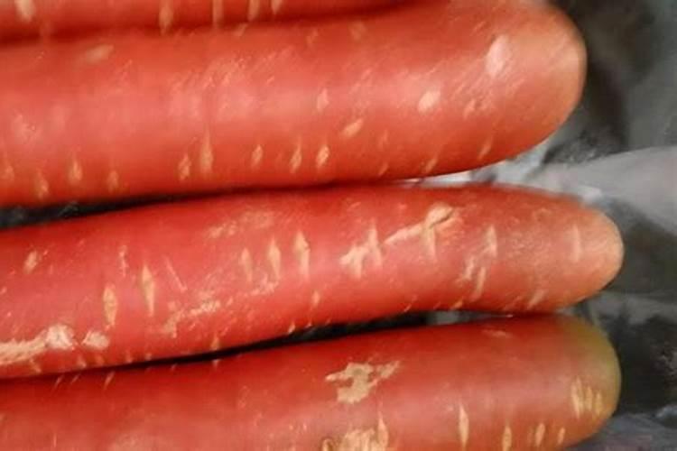 蔬菜想要挂果多、产量高,关键该怎么做呢？