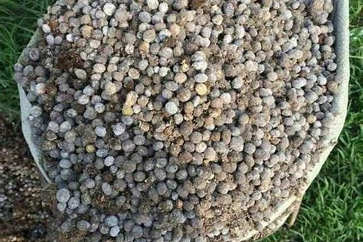 蓝能量腐植酸水溶肥哪儿出的