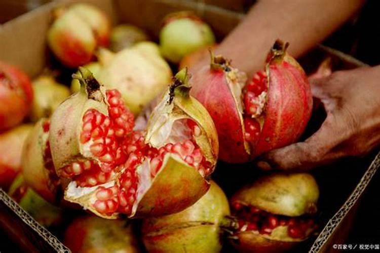 农用防裂果用什么钙最好