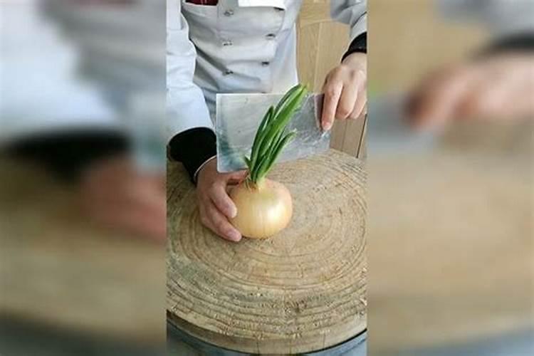 广西农药厂家排名