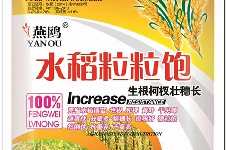 柑橘施肥时间表