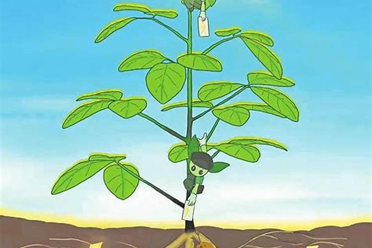 以色列的农业很发达,采取哪些节水措施