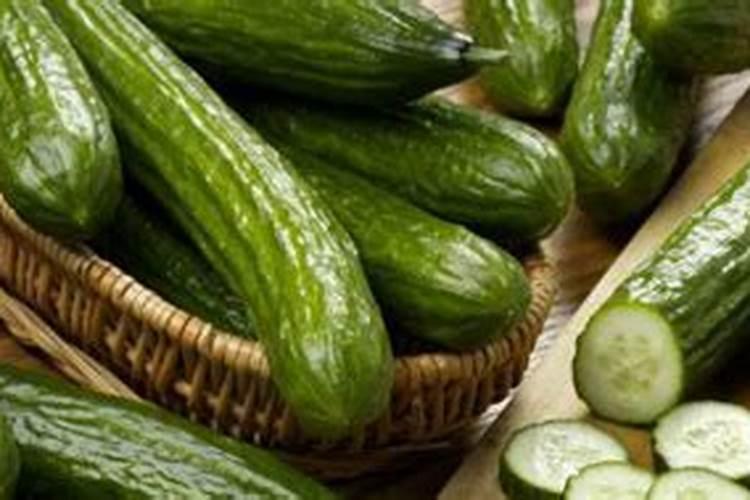 金边虎皮兰用什么土