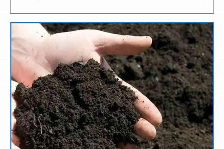 磷酸二铵如何鉴别真假