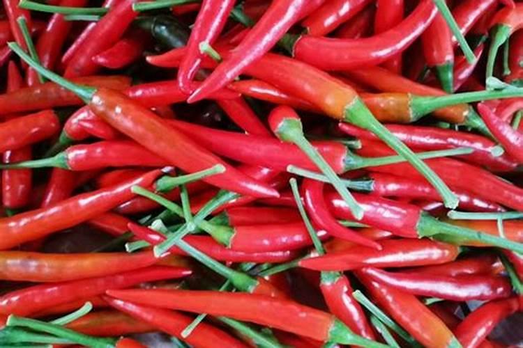 种菜最忌三种肥料