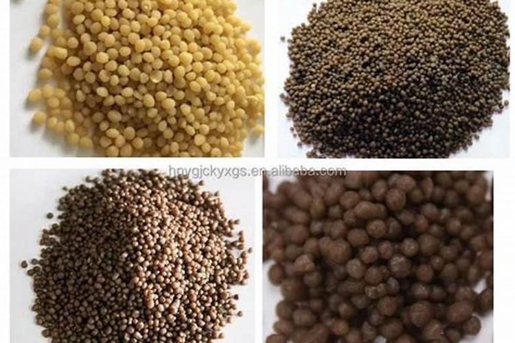 叶面肥几点以后打好