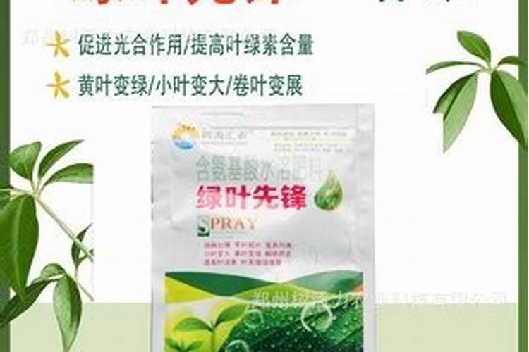 茄子越长越小,中途怎么施肥,