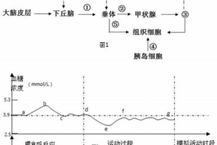 钙镁肥对植物的作用