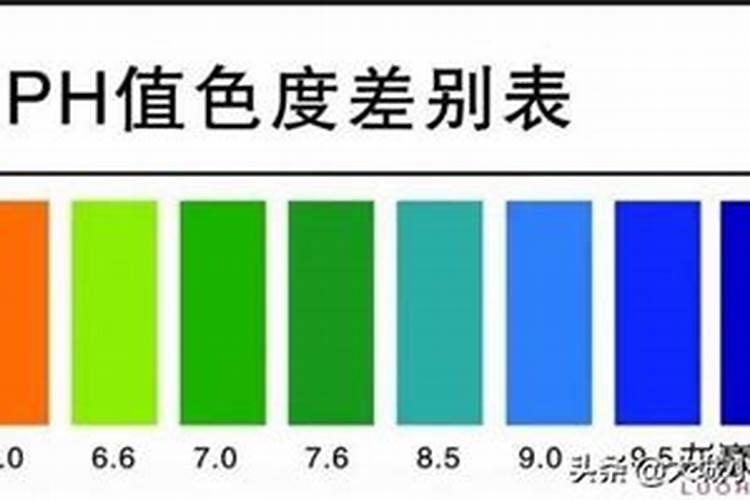 蒜地应怎么样施肥