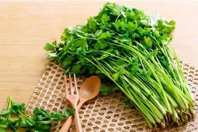 香菜用什么肥料最好