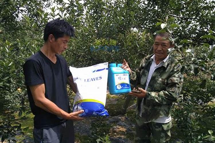 水溶肥料成分含量知多少