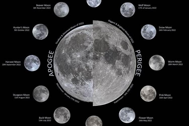 怎样做可以让葡萄快速且优质地上色