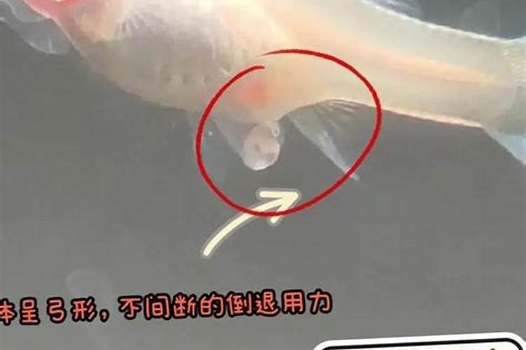 山东农大肥业的肥料怎么样