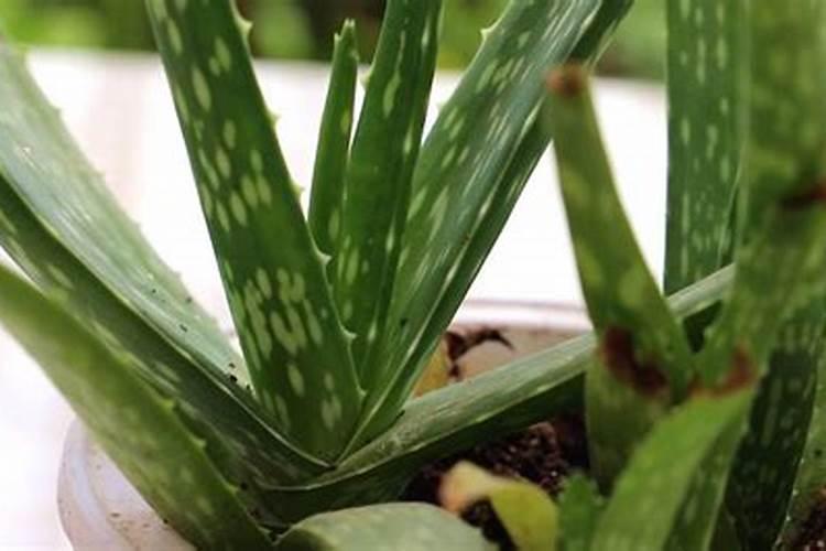 带有三点水的字怎么组词？