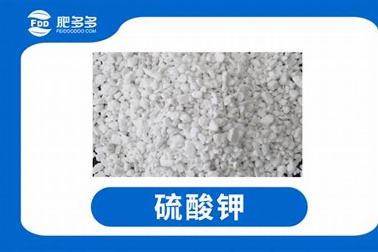 烤烟种植技术与方法