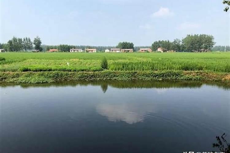 红糖加尿素加磷肥做肥水膏每亩用多少？