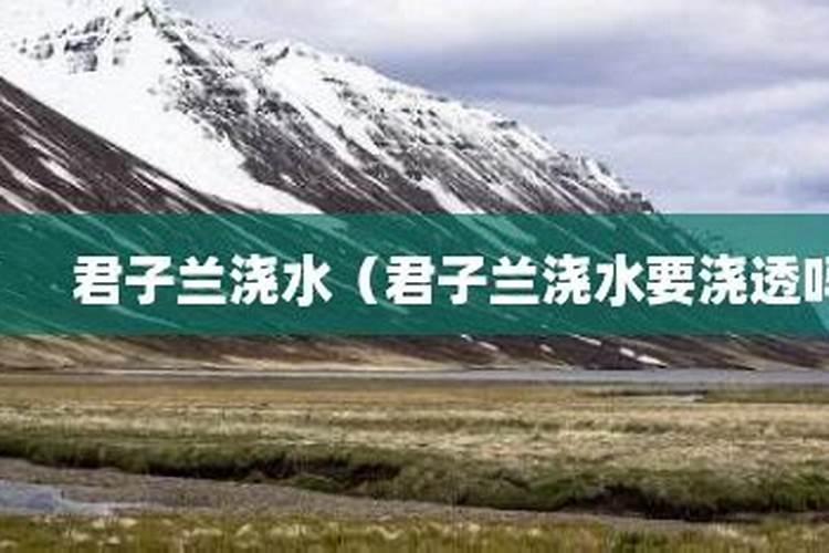 君子兰施什么肥容易开花 君子兰的施肥要求