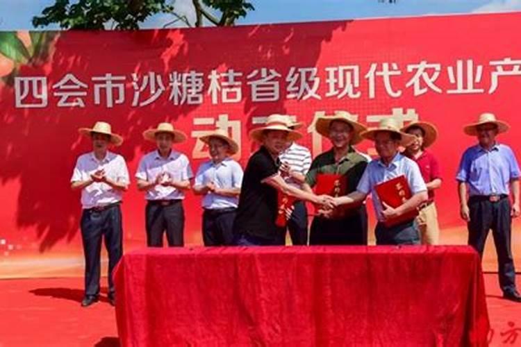 我想做代理,大量元素水溶肥哪个品牌好？