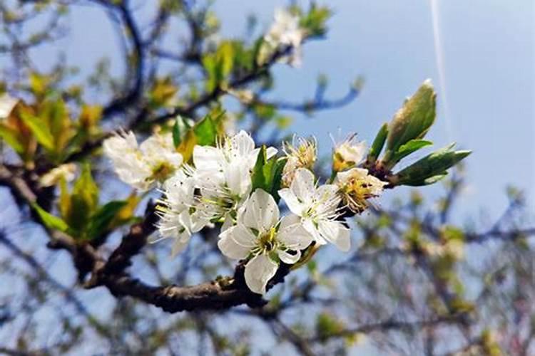 多肽氮肥与多肽尿素的区别