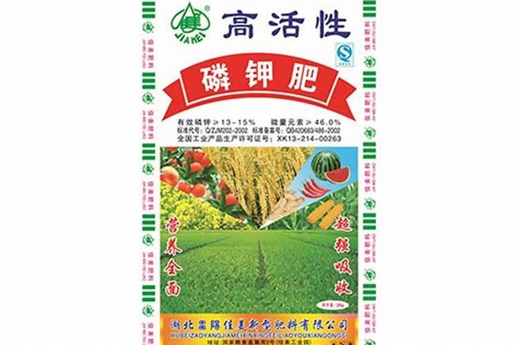 冬珊瑚的花期管理,施加磷钾液肥减少浇水