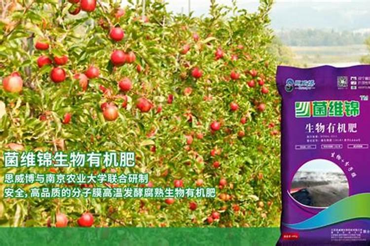 新疆矿源黄腐酸钾哪个厂家的品牌好