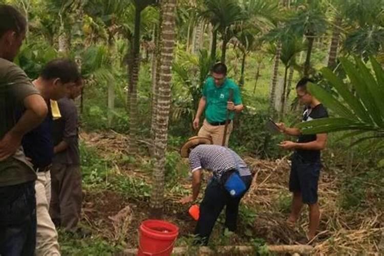 去西藏卖水果怎么样啊赚钱吗