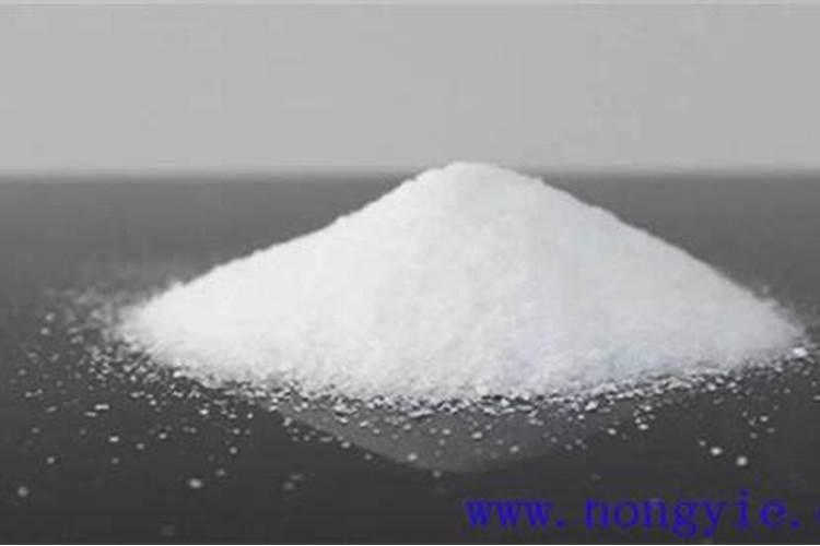 玉米专用肥含什么成分