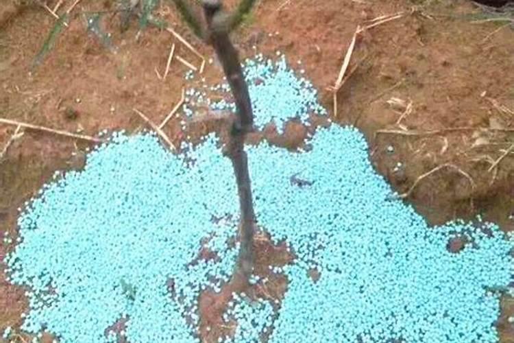 家庭花卉常用化学肥料有哪些？