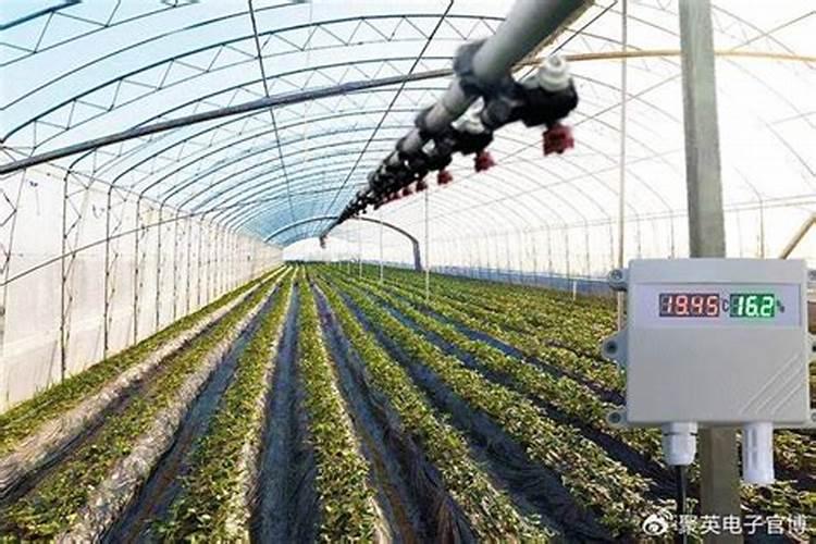 硅谷红彭果大量元素水溶肥有液体肥有毒吗