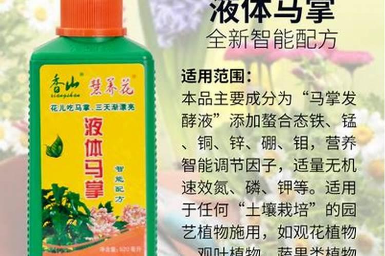 棉花后期喷什么叶面肥