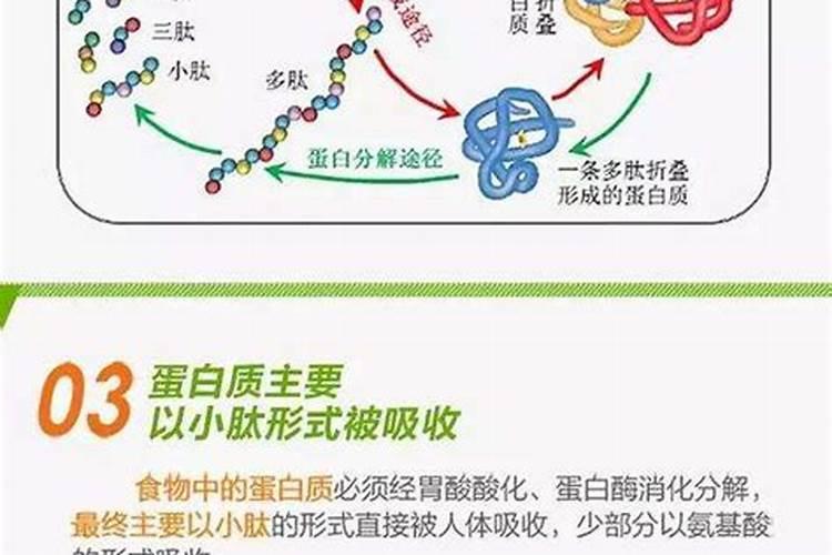 种黄桃施什么肥