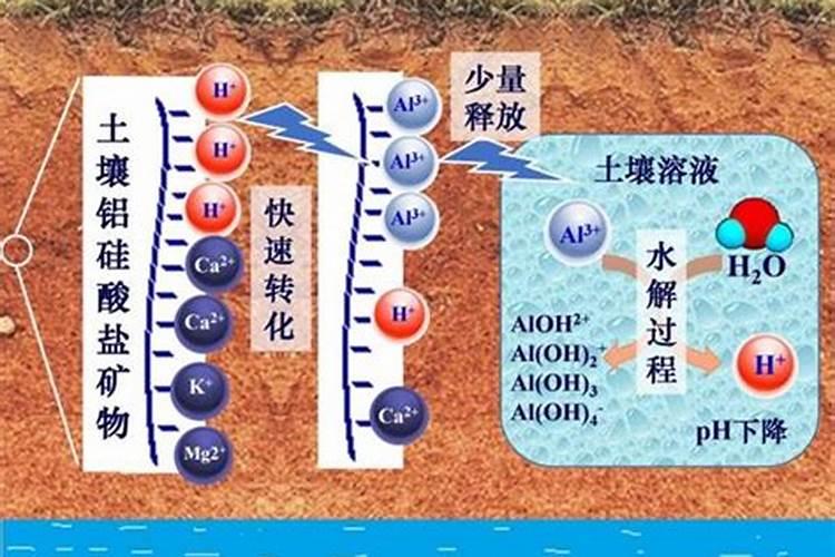 如何把碱性土壤改良成为酸性土壤