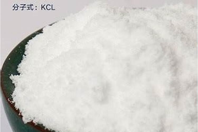 氮肥可以兑水浇花吗