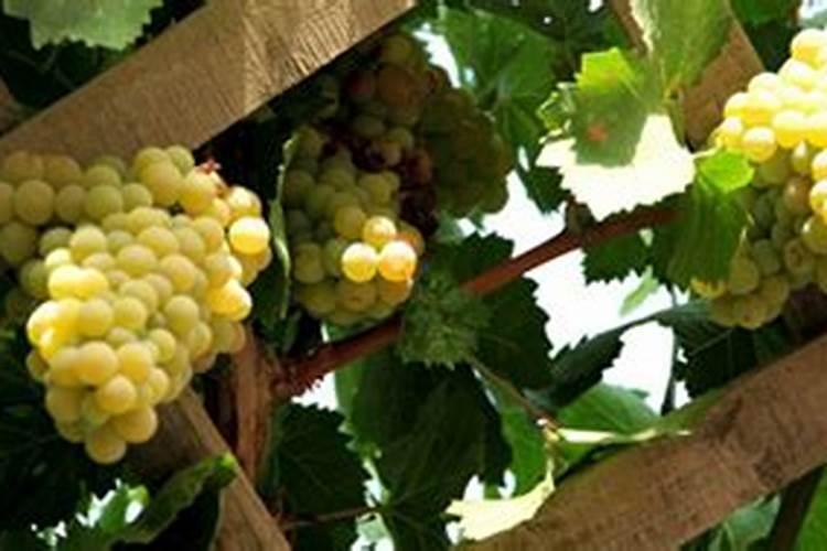 活性水和直饮水的区别