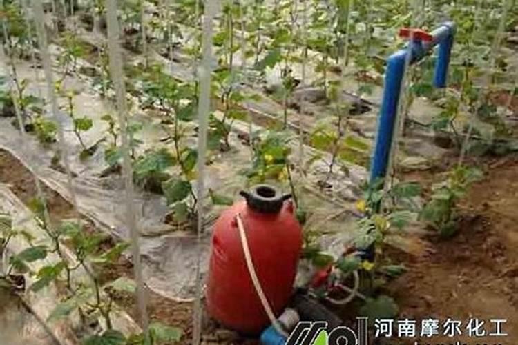 大量元素水溶肥料用法与用量