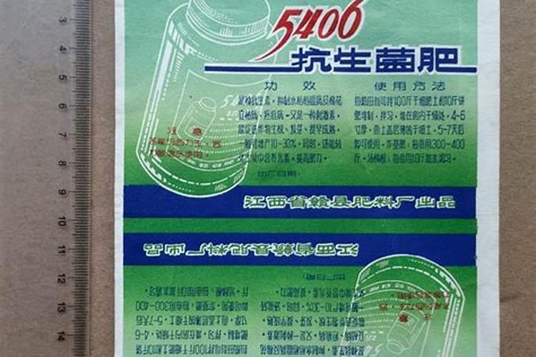 江西赣州有石榴树买吗？