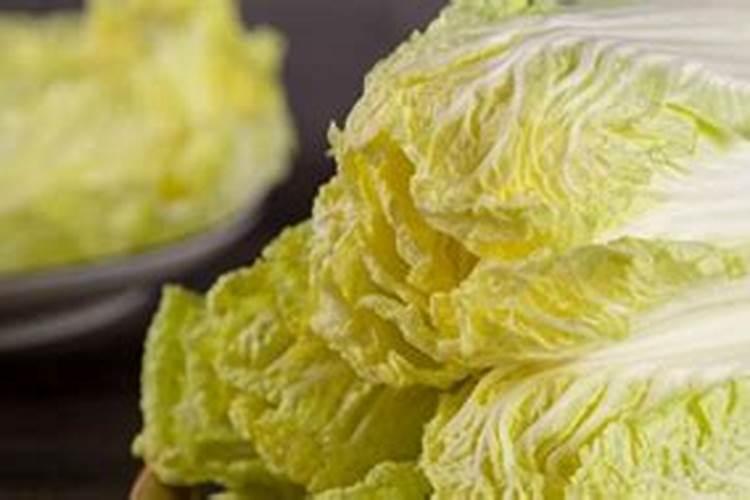 春油菜最需要防控的是什么？