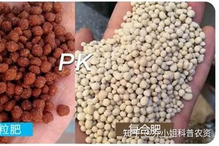 草木灰和铵态氮肥不能混用的原因