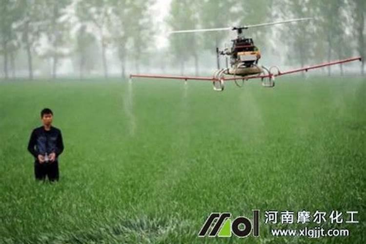 月季花施磷酸二氢钾肥料的正确用法