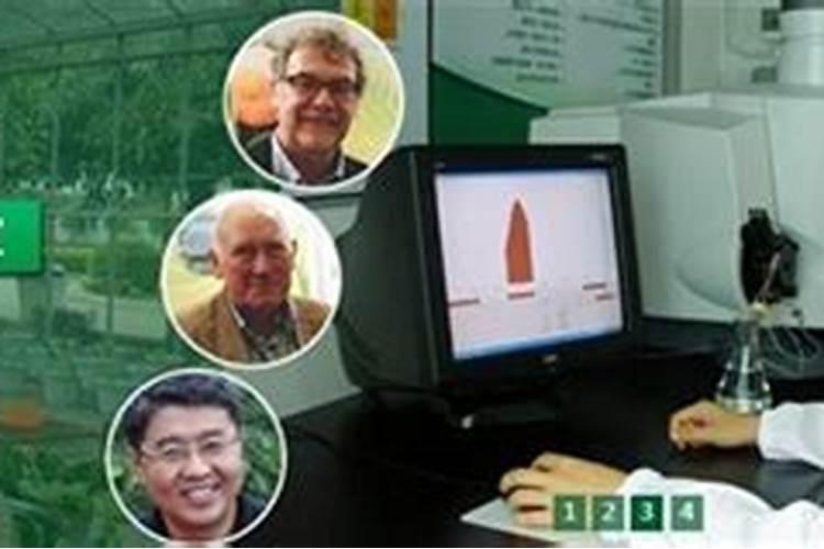 马克托尼厂还有什么品牌的