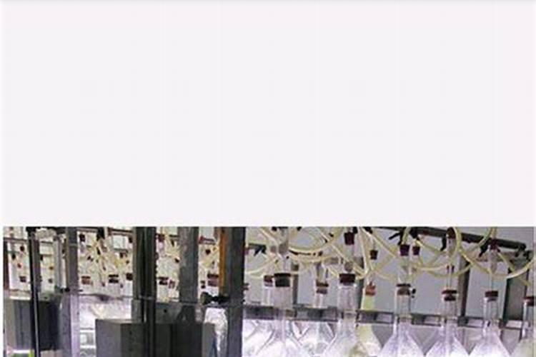 什么冲施肥对果实膨大最快