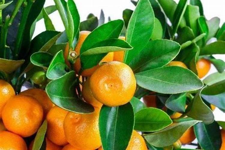 白天家里没有人石灰石干燥剂放在床底会有危险吗？