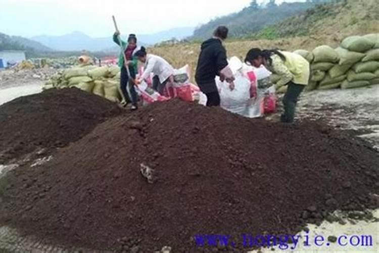 苹果树9月份施什么肥好