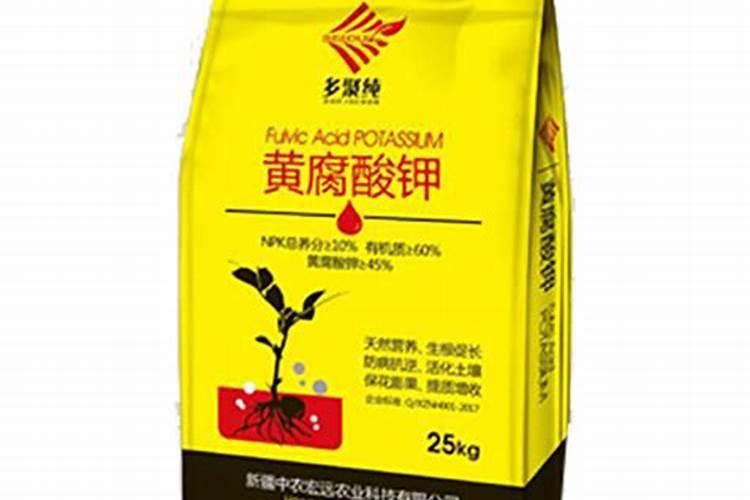 月季开花后还需要施肥吗