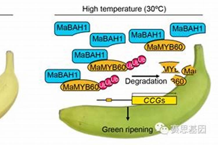 复合肥的氮磷钾含量是多少