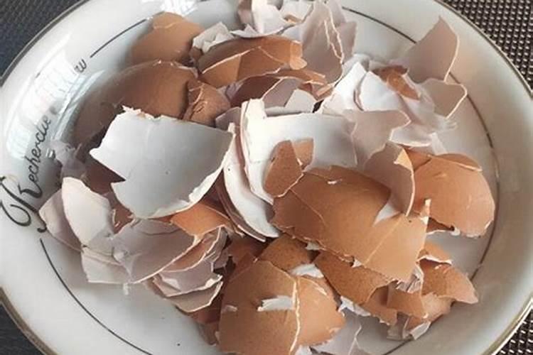 种兰花用什么土最好呢？