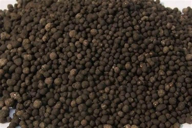 土豆开花后施什么肥料能提高产量